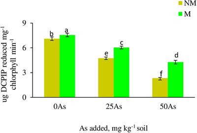 Arbuscular Mycorrhiza Improves Photosynthesis and Restores Alteration in Sugar Metabolism in Triticum aestivum L. Grown in Arsenic Contaminated Soil